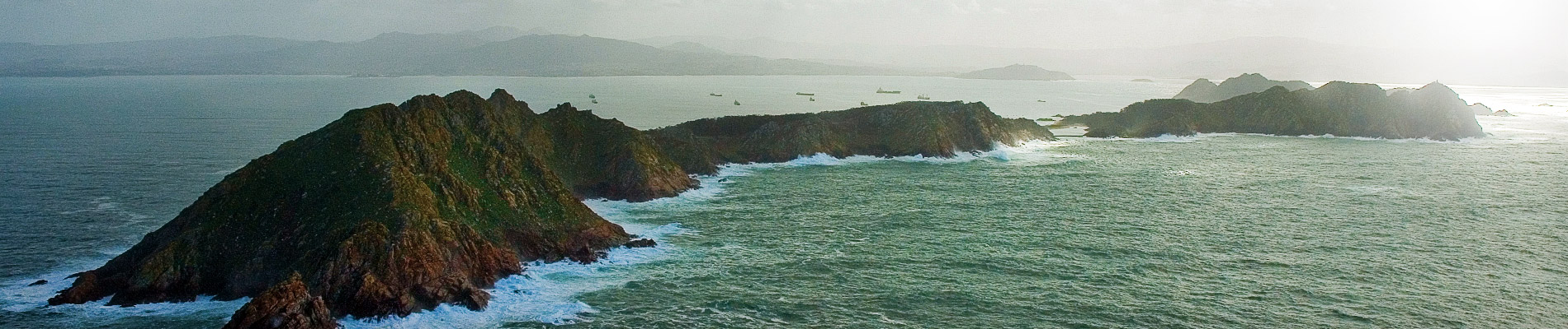 Guides to Natural Species of the Port of Vigo