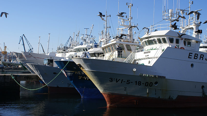 Fotografías del Puerto de Vigo